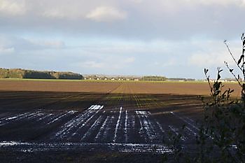 Foto\'s gastveld Beerta, de Akkers De Dorpspomp Beerta