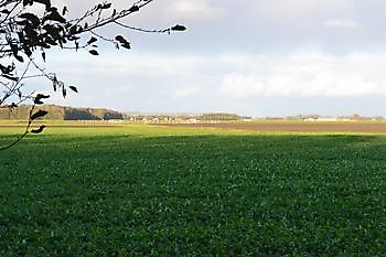 Foto\'s gastveld Beerta, de Akkers De Dorpspomp Beerta