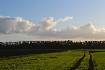 Foto\'s gastveld Beerta, de Akkers De Dorpspomp Beerta