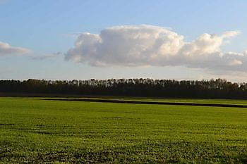 Foto\'s gastveld Beerta, de Akkers De Dorpspomp Beerta